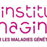 Logo Institut Imagine 600x231