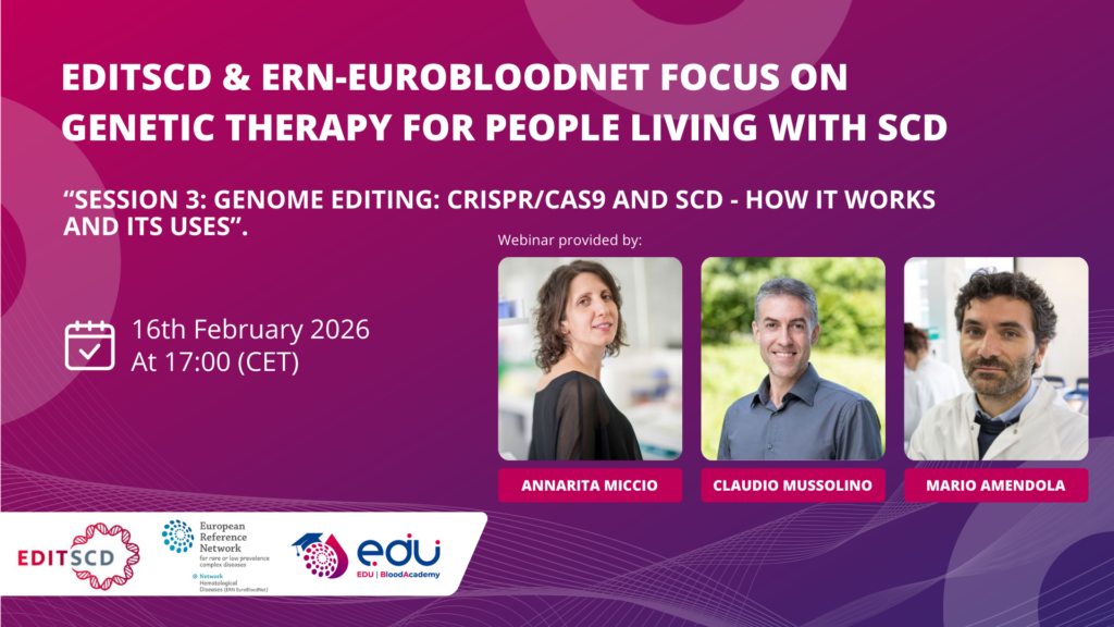 Education Linkedin (2)